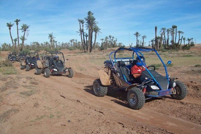 Buggy Tour in Marrakech Palm Grove - Who Will Love This Tour?