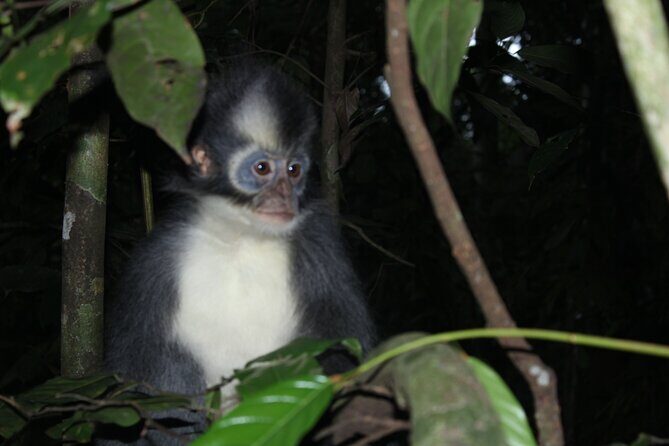Bukit lawang tour 3days-2 night jungle trekking including rafting - Practical Details and What to Expect