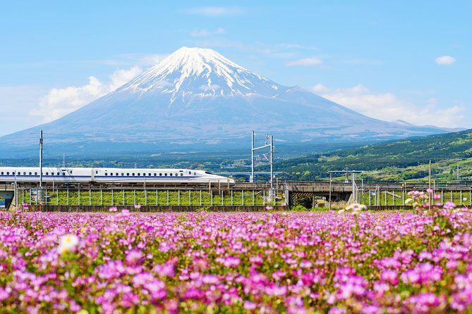 Bullet Train and Mt. Fuji Famous Food Tour - Value and Cost: Is It Worth It?