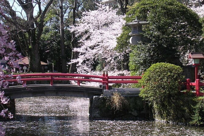 Bullet Train Experience & Mishima Shrine Private Tour from Tokyo - Analyzing the Value