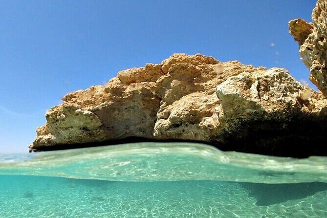 Bus Tour to Ras Mohamed from Sharm El Sheikh - Snorkeling and Marine Life: Seeing Underwater Wonders