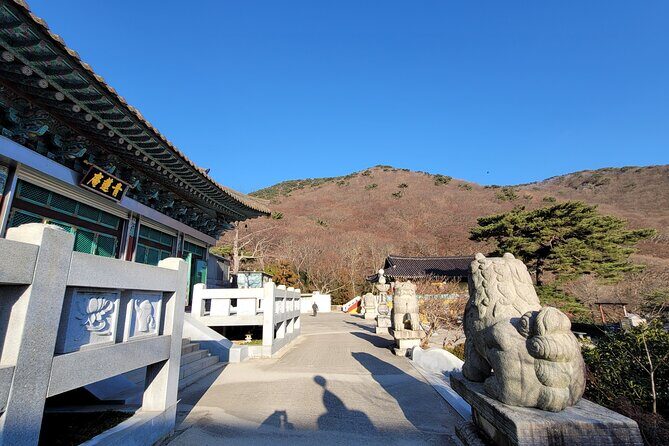 Busan Beomeosa Temple & Hongbeopsa Temple with temple lunch - Final Thoughts: Is This Tour Right for You?