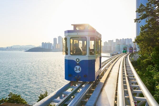 Busan City Top Attractions Full day Tour - What the Reviews Say