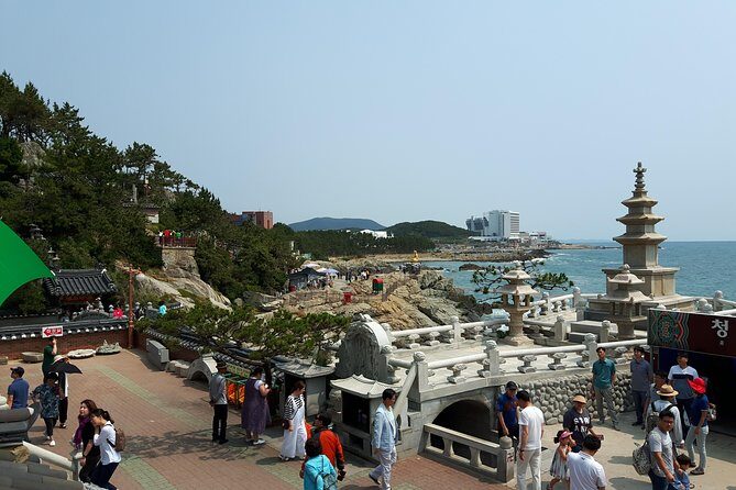 Busan city tour from Seoul by KTX bullet train - Who Should Consider This Tour?
