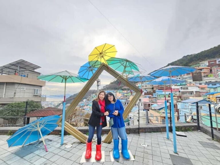 Busan Cruise Port - VIP Group Tour (Max 6 Guests) - Samik Beach Apartments Cherry Blossom Road