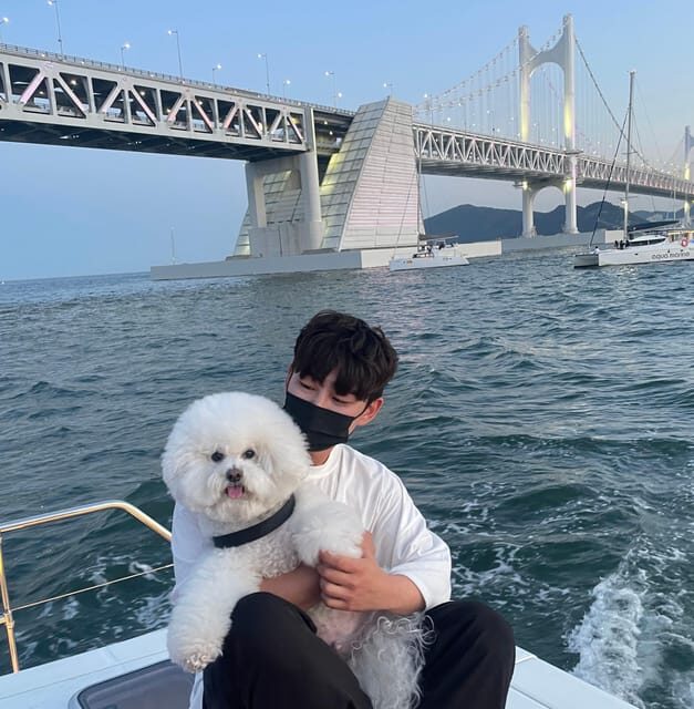 Busan: Group Sightseeing Yacht Cruise with Snacks and Drinks - The Sum Up: Is It Worth It?