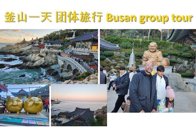Busan Group Tour for Cruise ship passengers (Max 15 Guests) - Practical Details and What to Expect