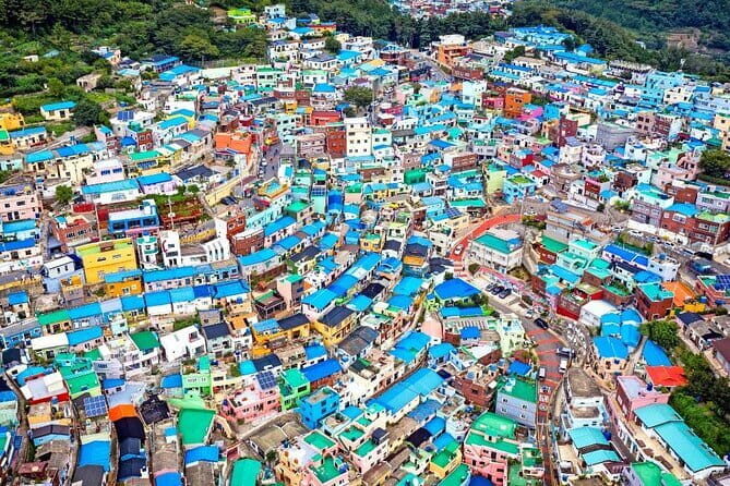Busan Gyeongju Customizable Private Taxi or Van Tour (up to 8pax) - Who Will Love This Tour?