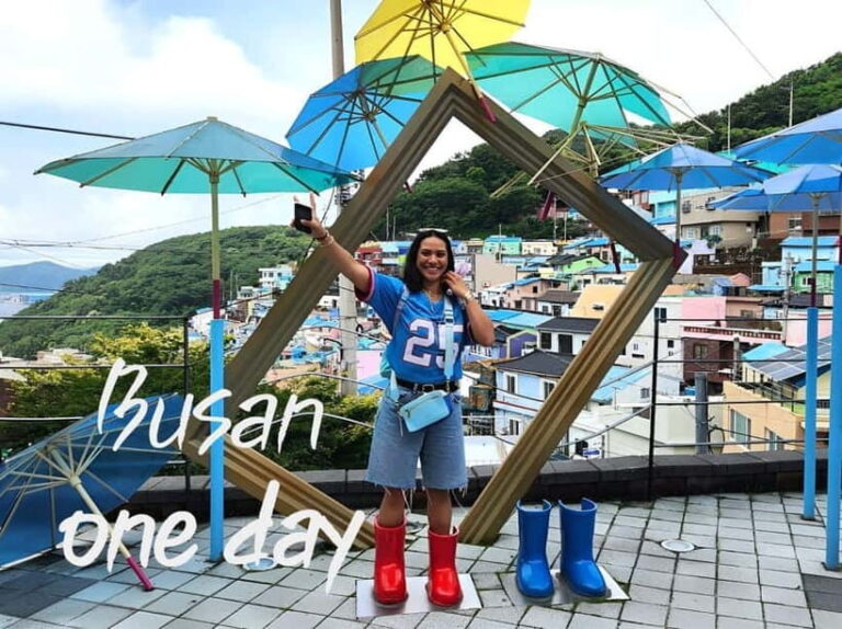 Busan / Gyeongju Customizable Private Tour (up to 8pax) - Cost & Value Analysis
