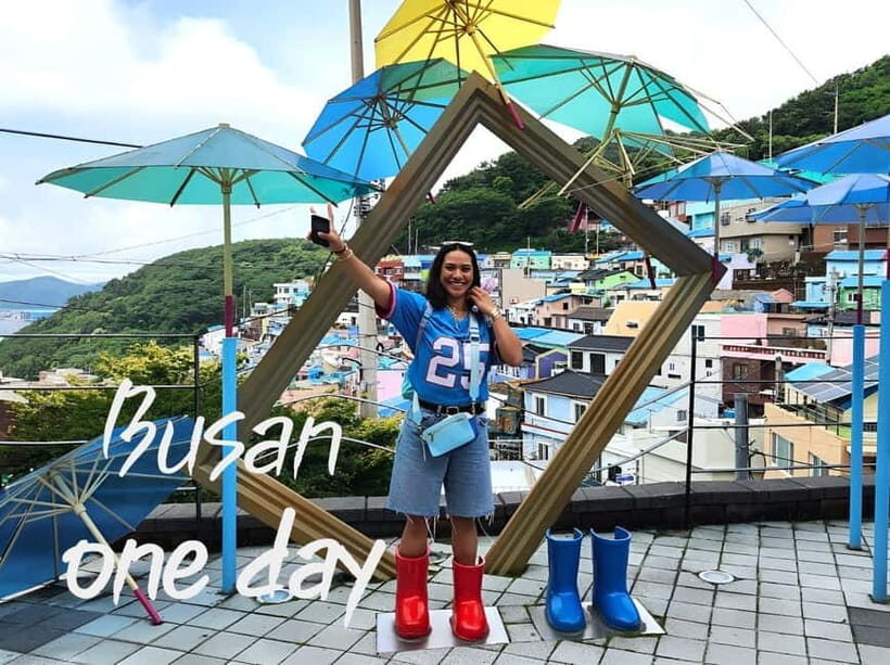 Busan / Gyeongju Customizable Private Tour (up to 8pax) - Cost & Value Analysis