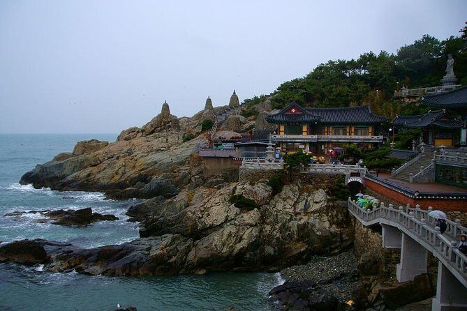 Busan Like a Local: Customized Private Tour - The Value of a Local Guide