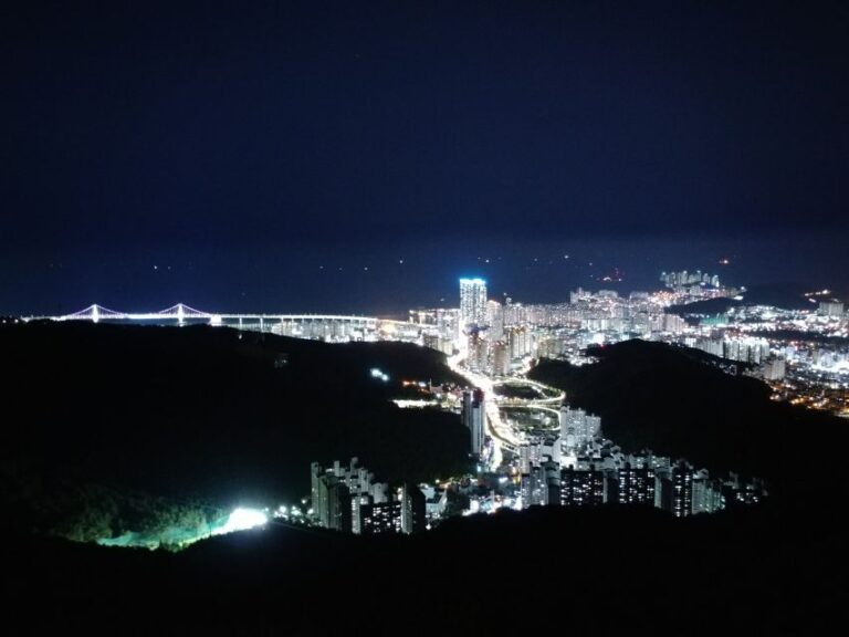 Busan: Night Viewpoints with Evening Cruise w/ Fireworks - The Practicalities and Value