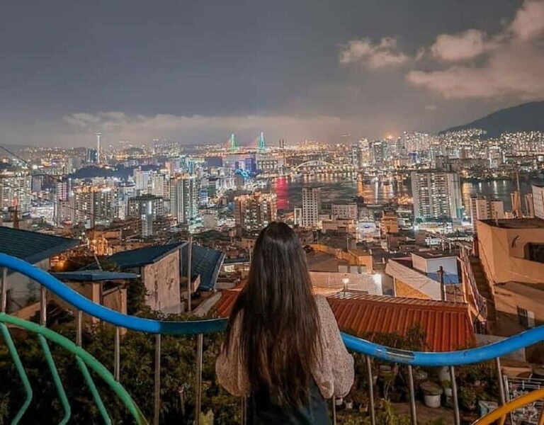 Busan Private Night Tour-City Lights & Food (Up to 7 Guests) - The Itinerary in Detail