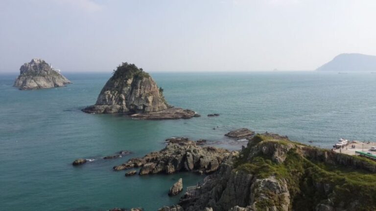 Busan Private Walking Tour with a Local - Why Choose This Tour?