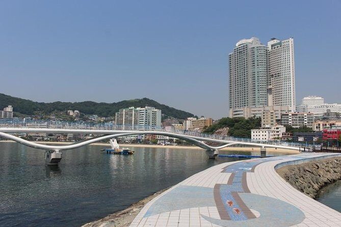 Busan Shore Excursion Tour with Gamcheon Culture Village - The Sum Up: Who Is This Tour For?