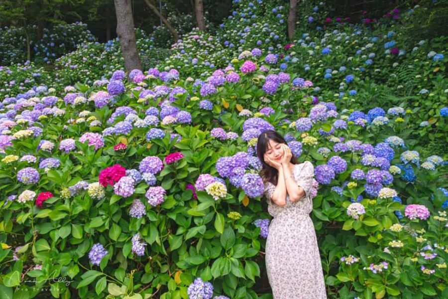 Busan: Taejongdae, Songdo Cable Car, Gamcheon Village &Beach - Exploring Gamcheon Culture Village: Art and Color in Every Corner