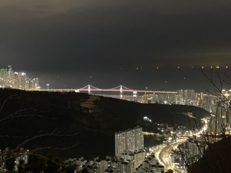 Busan: The best night view small group tour - The Real Experience: What Travelers Say