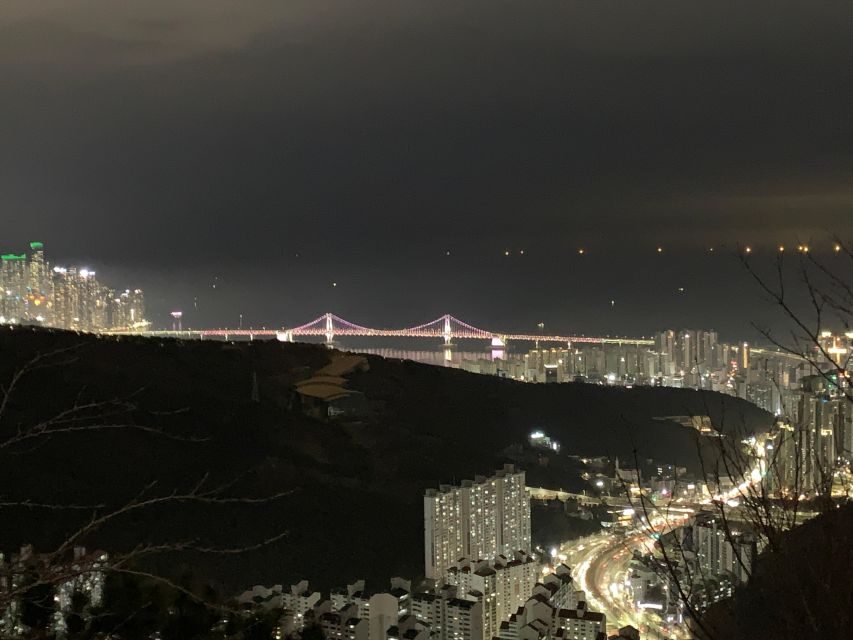 Busan: The best night view small group tour - The Real Experience: What Travelers Say