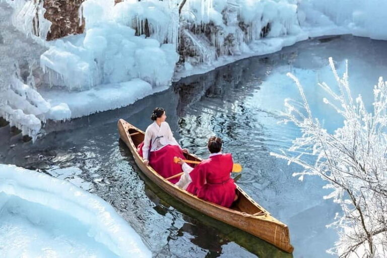 Busan: Winter Healing Park and (Gyeongju/Daegu) One Day Tour - Overview of the Tour Experience