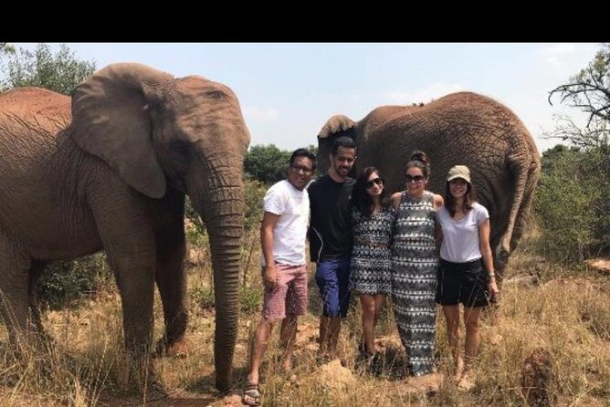 Bush Babies & Monkey Sanctuary and Elephants walk Private - What Reviewers Say