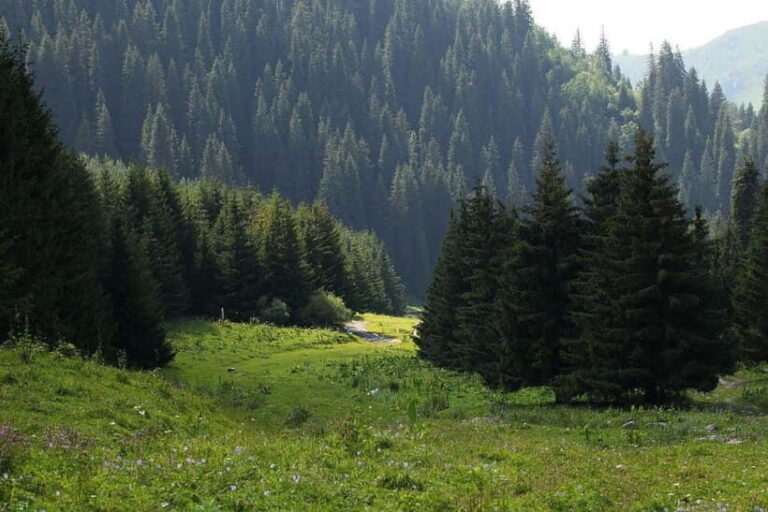 "Butakovka Waterfall" - a half day tour - The Itinerary and What You’ll Experience