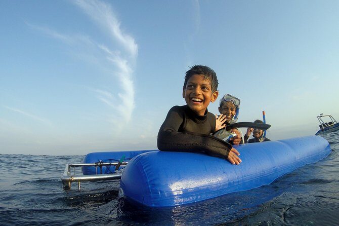 Caged and Cageless Shark Snorkelling on Durban's Aliwal Shoal - Who Is This Tour Best For?