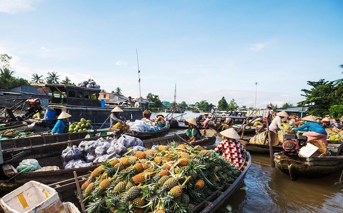 Cai Rang Floating Market & Mekong Delta Private Tour from HCM city - Transportation & Overall Value