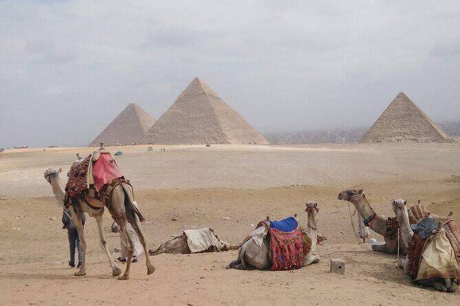 Cairo private day by car including lunch minimum 2 persons - Authenticity and Practical Tips