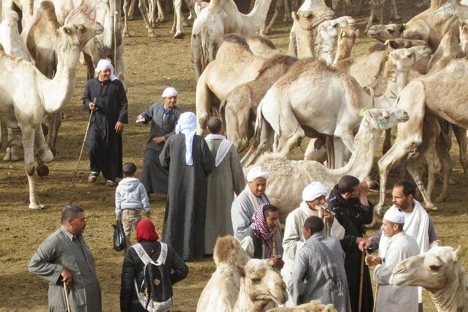 Cairo Unusual Day Tour Visit Camel Market in Birqash - Final Thoughts: Is It Worth It?