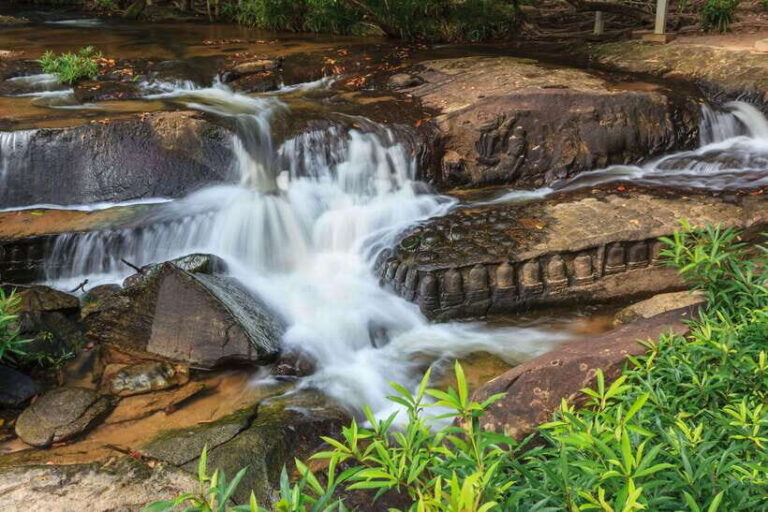 Cambodia Elephant Sanctuary and Banteay Srey Temple Tour - Authentic Insights from Travelers
