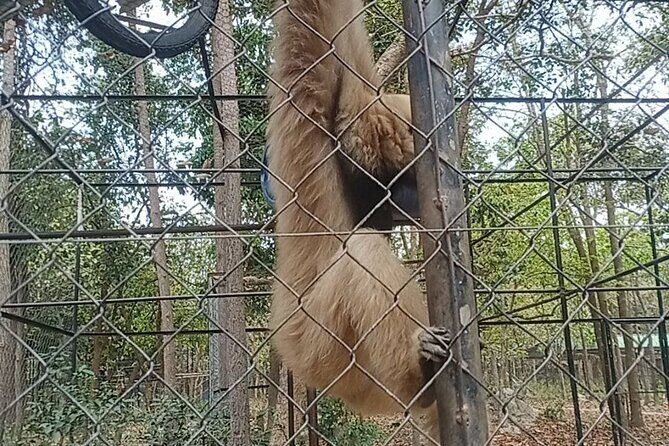 Cambodia Wildlife Sanctuary and Countryside Tour - Detailed Breakdown of the Tour