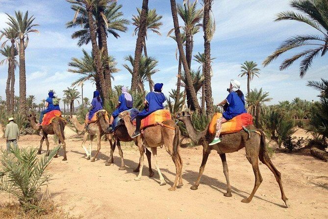 Camel and Quad in Marrakech - A Deep Dive into the Experience