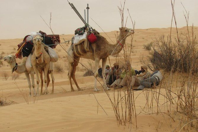 Camel ride and 1 night in the desert
