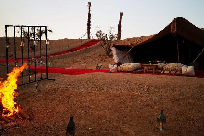 Camel ride and magical dinner in Agafay desert - Who Will Enjoy This Tour?