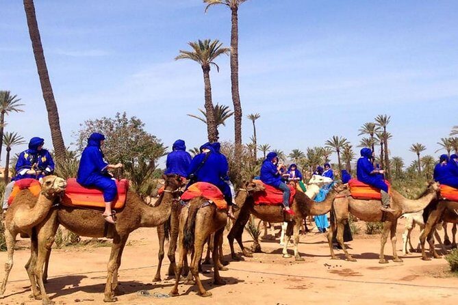 Camel Ride and Quad Bike in Palmeraie - Who Should Consider This Tour?