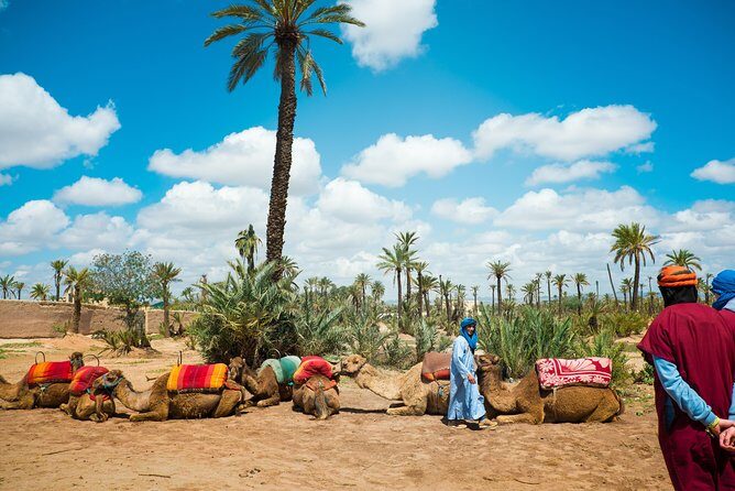 Camel Ride and Quad Biking with fresh mint Tea - The Sum Up: Is It Worth It?