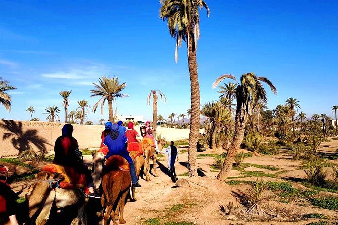 Camel Ride and Spa Treatment in Marrakech - The Reality of the Experience