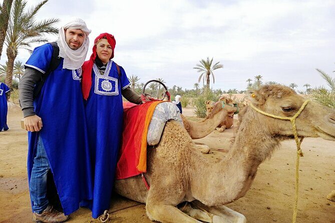 Camel ride at sunset from the palm grove - Who Would Love This Tour?
