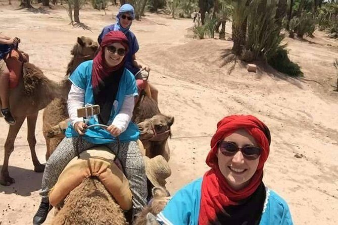 Camel Ride at the Palm Groves in Marrakech - What Makes This Tour Stand Out?