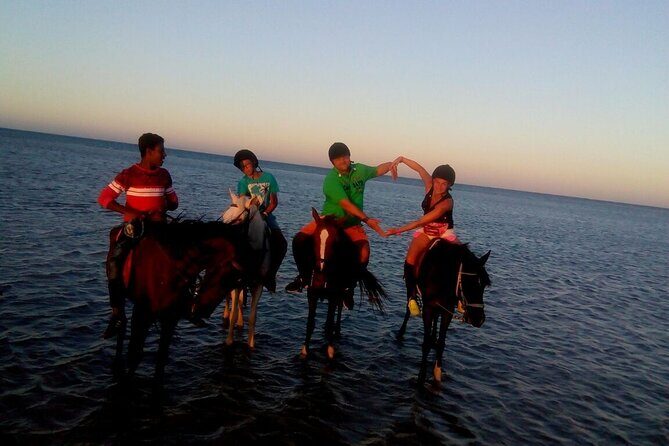Camel ride & Bedouin dinner quad safari in Sharm el Sheikh - Authentic Experiences and Highlights