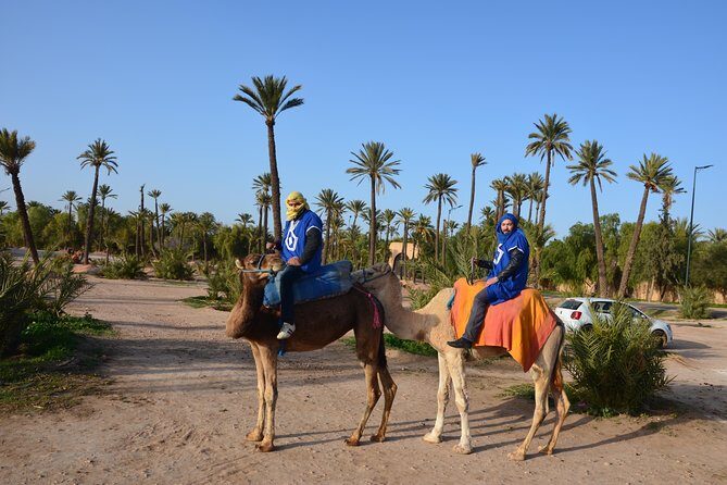Camel Ride Experience Around Marrakech - Value for Money