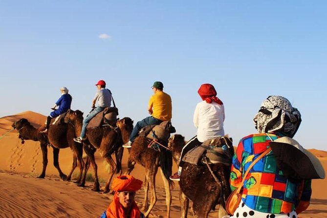 Camel Ride Experience - Why It’s Worth Your Time