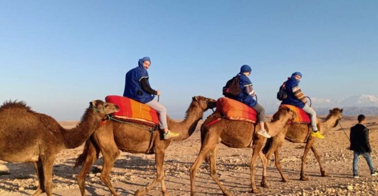 Camel Ride In Agafay Desert - Who Will Love This Tour?