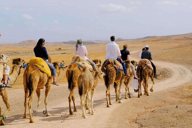Camel Ride in agafay - Key Points