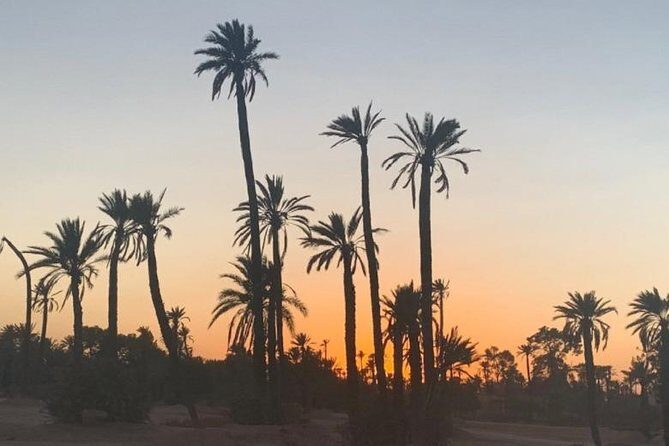 Camel Ride in Marrakech desert palmgrove - Final Thoughts