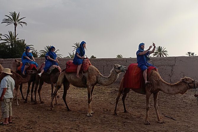 Camel ride in Marrakech (Palmerie) - A Detailed Look at the Marrakech Palmerie Camel Ride