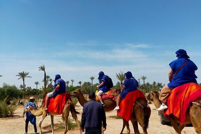 Camel Ride in Marrakesh's Palm Grove - Value and Pricing