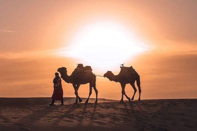 Camel Ride in Merzouga with 1 Night in Desert Camp - Analyzing the Value