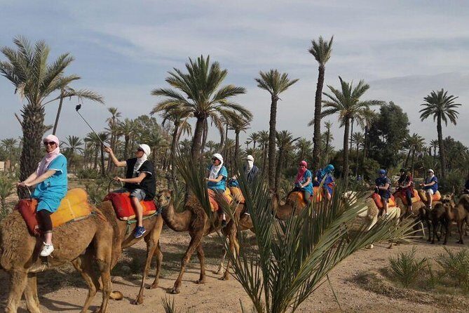 Camel Ride in the Palm Grove - The Practical Side: Logistics and Tips