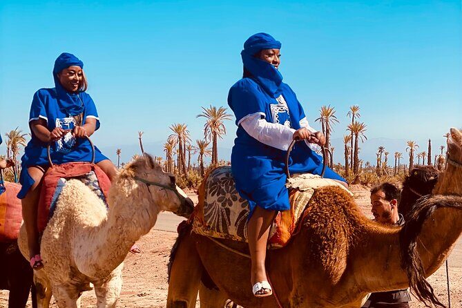 camel ride marrakech - The Itinerary: What to Expect